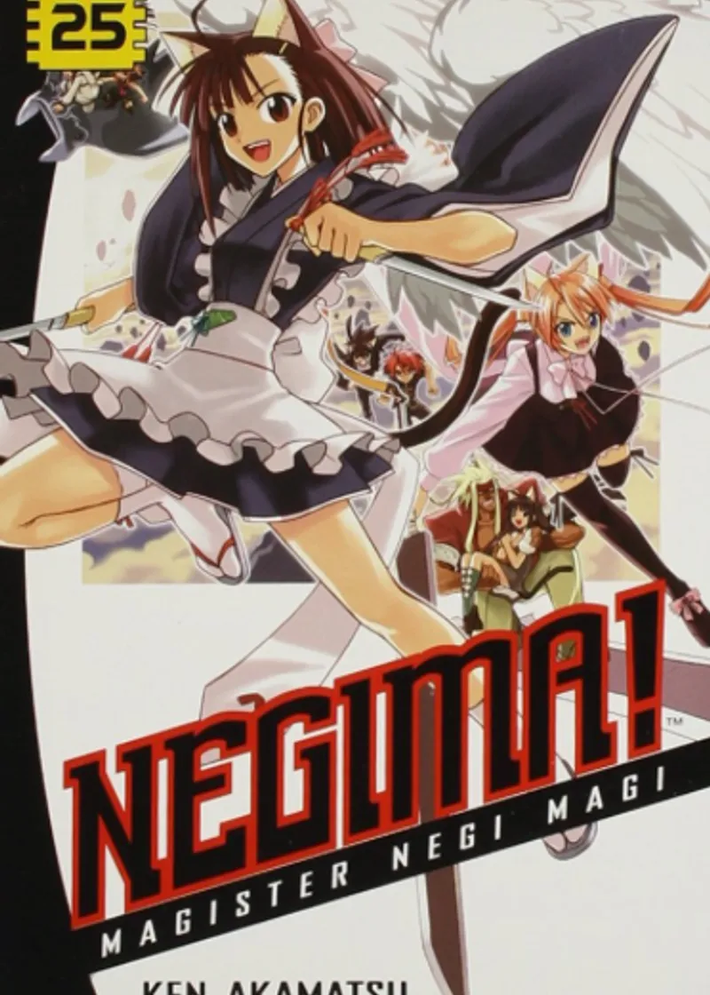 Negima! Volume 25