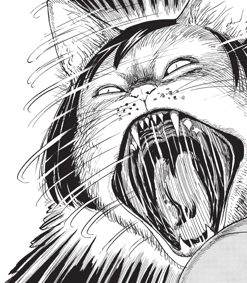 Junji Ito's Cat Diary: Yon & Mu