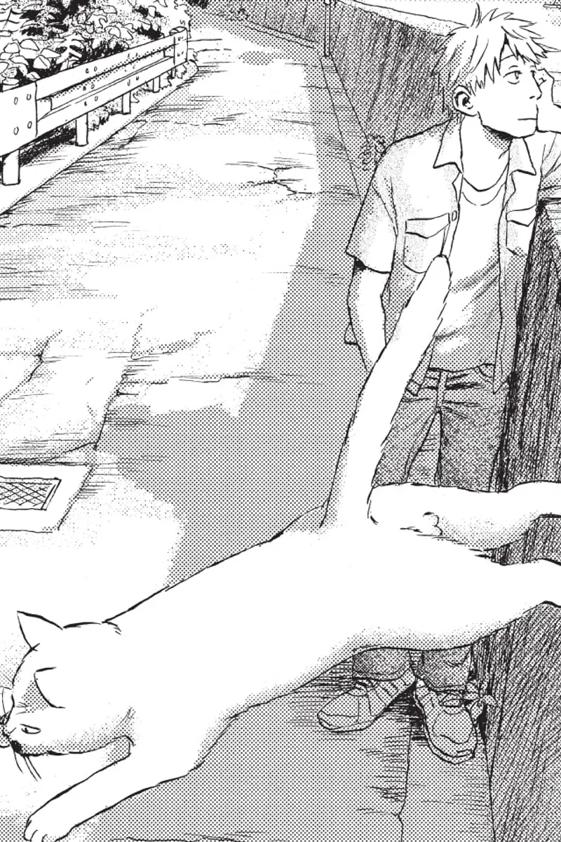 When a Cat Faces West