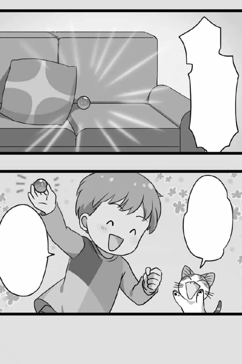 Chi's Sweet Adventures