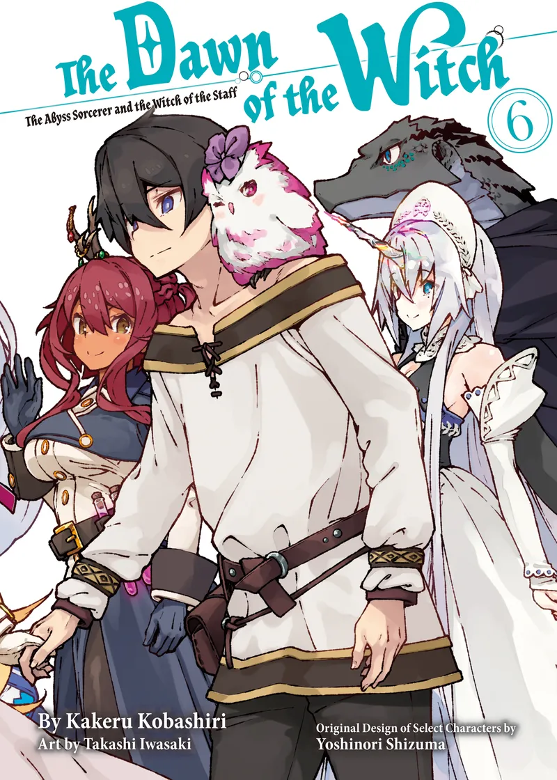 The Dawn of the Witch 6 (light novel)